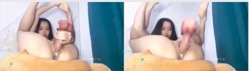Hot News Pejabat Sewa Lc Pesta Babi Pembangunan di Hutan Terbuka